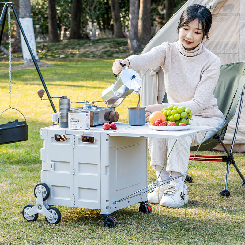 JIYING Portable Folding Shopping Cart 01