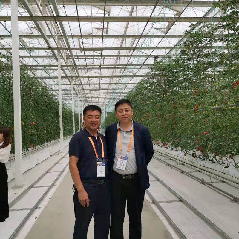 NAIER Intelligent greenhouse with linked glass Double glass curtain wall intelligent glass greenhouse