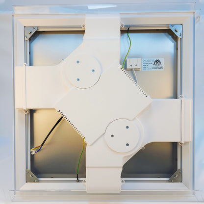 RUIAIR R600 High Energy Plasma Purifier  Remove aldehydes, odor and bacteria