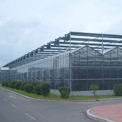NAIER Intelligent greenhouse with linked glass  Double glass curtain wall intelligent glass greenhouse