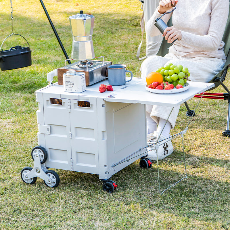 JIYING Portable Folding Shopping Cart 01