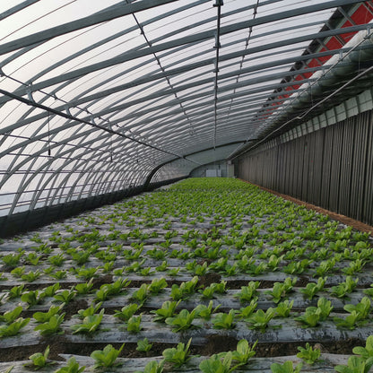 NAIER Cold weather intelligent greenhouse  Double insulation mobile intelligent management