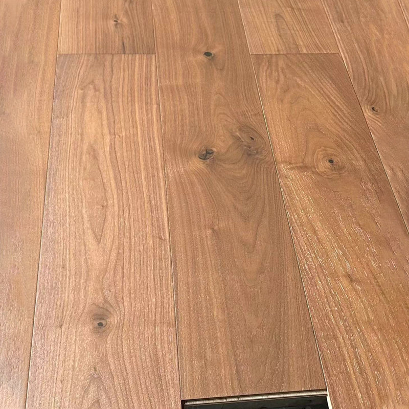 SHIJU Black walnut whole birch  Thickening wear-resistant household environmental protection