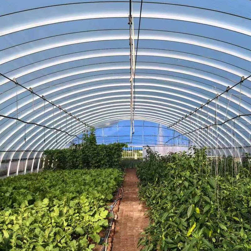 NAIER Continuous plastic greenhouse  Galvanized steel frame farm shed with pipe