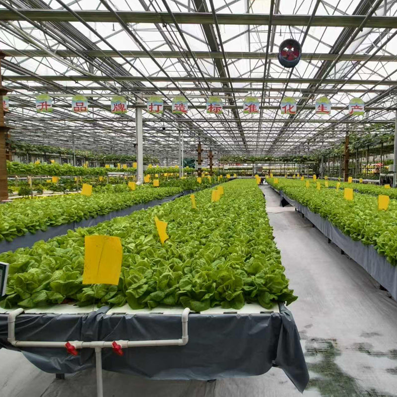NAIER Intelligent greenhouse with linked glass  Double glass curtain wall intelligent glass greenhouse