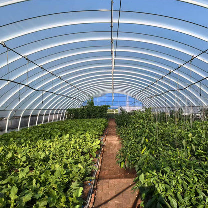 NAIER Continuous plastic greenhouse  Galvanized steel frame farm shed with pipe