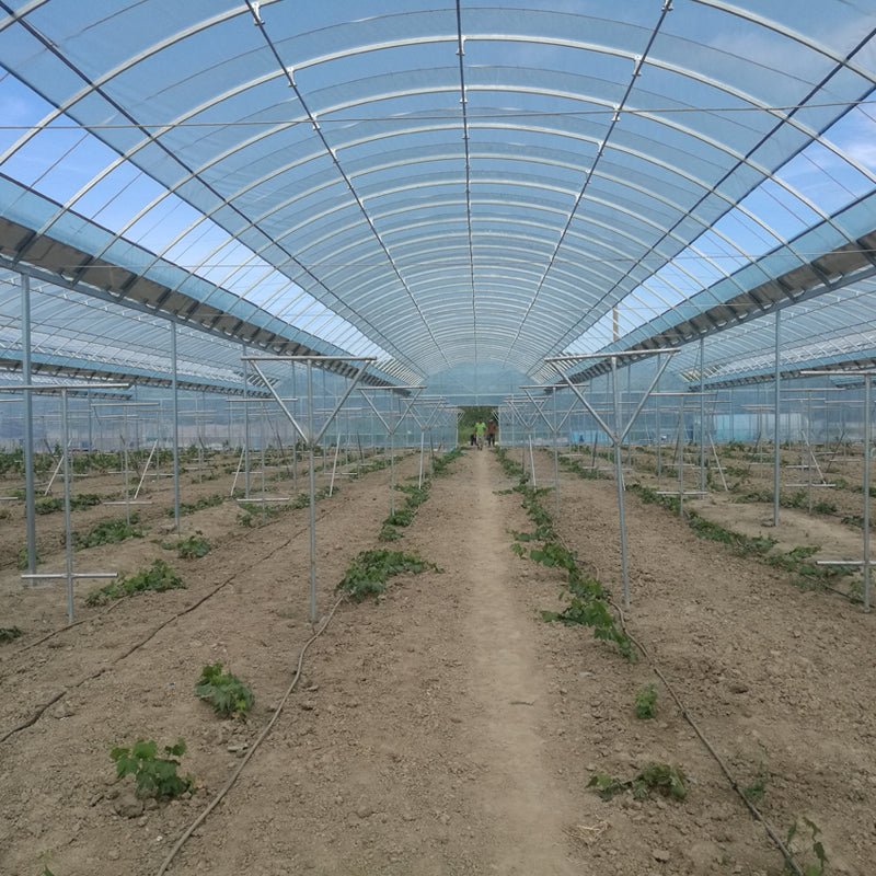 NAIER Connect plastic greenhouses  Thermal insulation oval tube plastic greenhouse