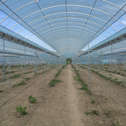 NAIER Connect plastic greenhouses  Thermal insulation oval tube plastic greenhouse