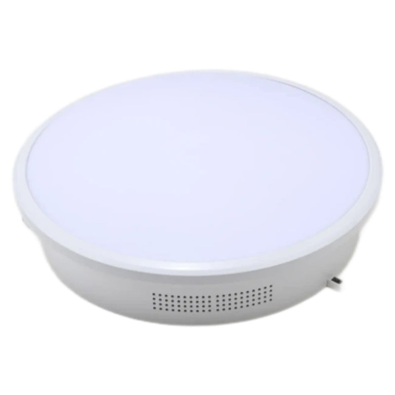 RUIAIR R400 High Energy Plasma Purifier  Remove aldehydes, odor and bacteria