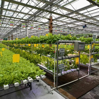 NAIER Intelligent greenhouse with linked glass  Double glass curtain wall intelligent glass greenhouse