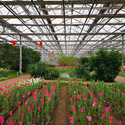 NAIER Intelligent greenhouse with linked glass  Double glass curtain wall intelligent glass greenhouse