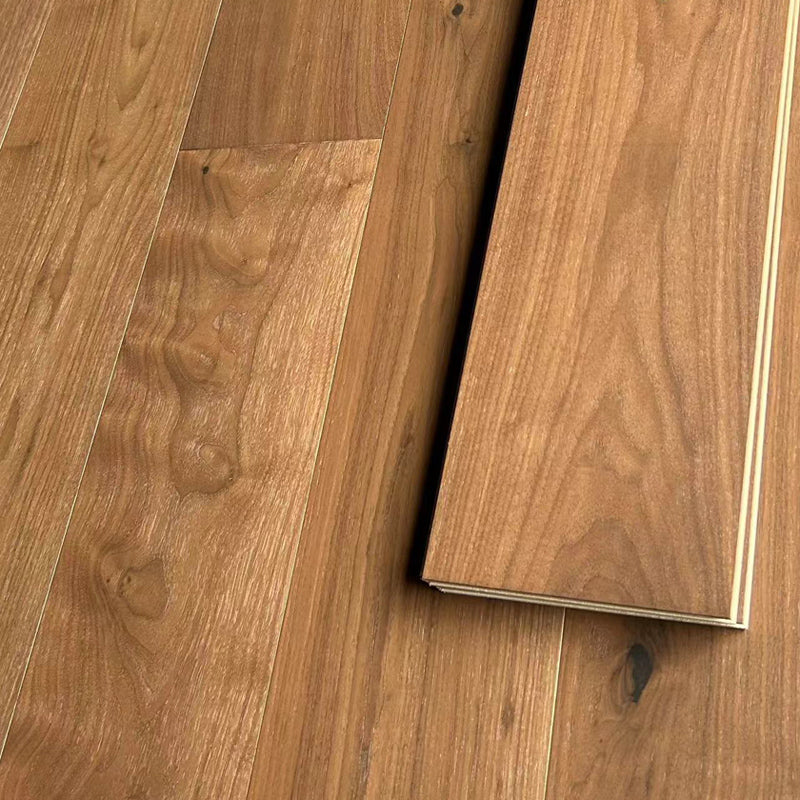 SHIJU Black walnut whole birch  Thickening wear-resistant household environmental protection