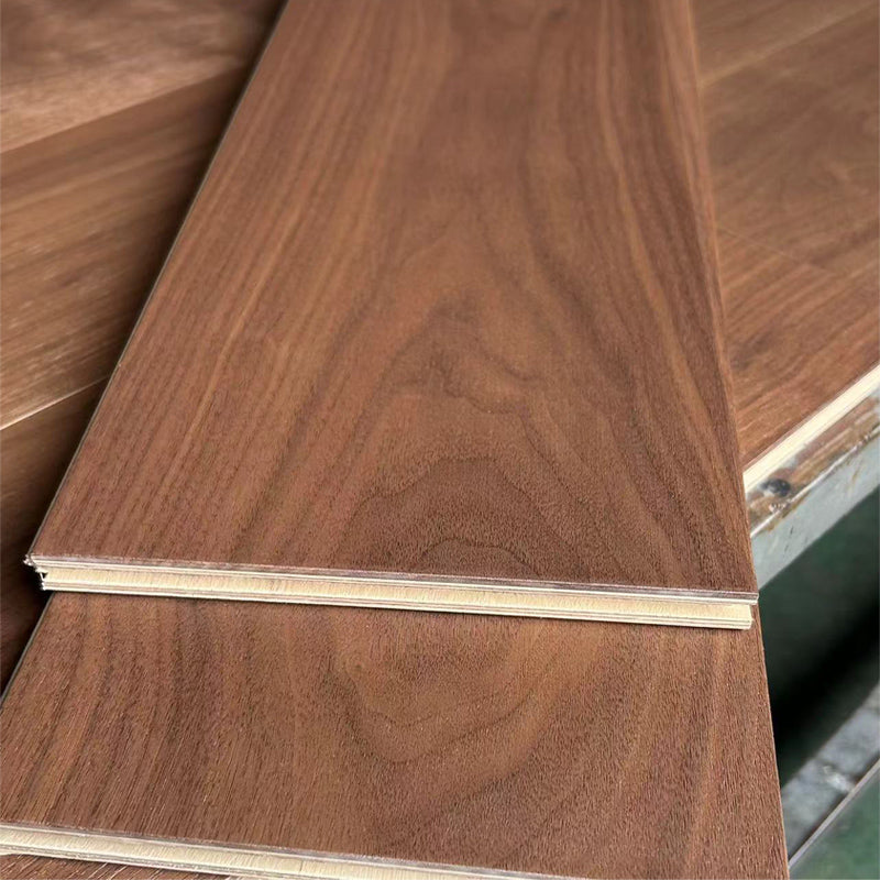 SHIJU Black walnut whole birch  Thickening wear-resistant household environmental protection